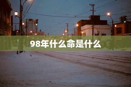 98年什么命是什么