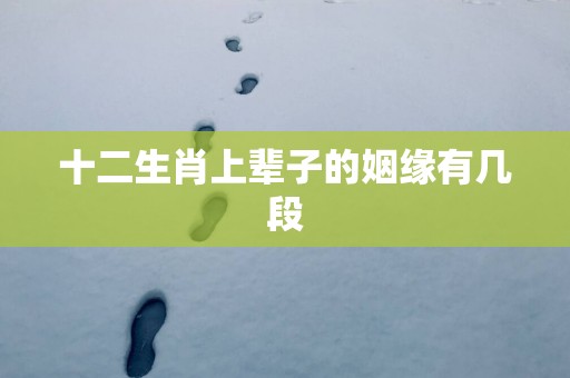 十二生肖上辈子的姻缘有几段