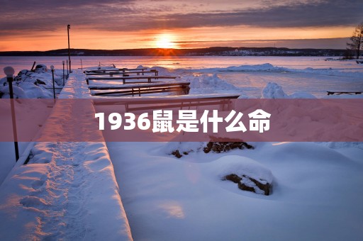 1936鼠是什么命