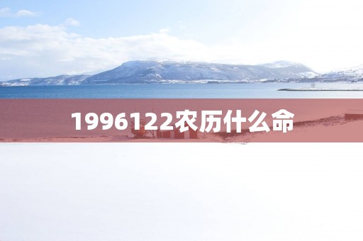1996122农历什么命