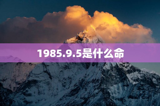 1985.9.5是什么命