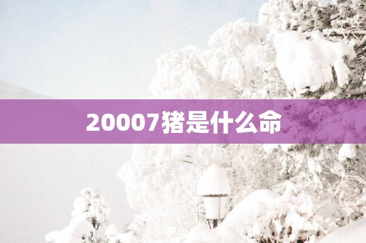 20007猪是什么命