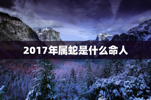 2017年属蛇是什么命人