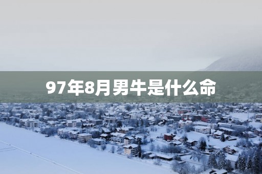 97年8月男牛是什么命