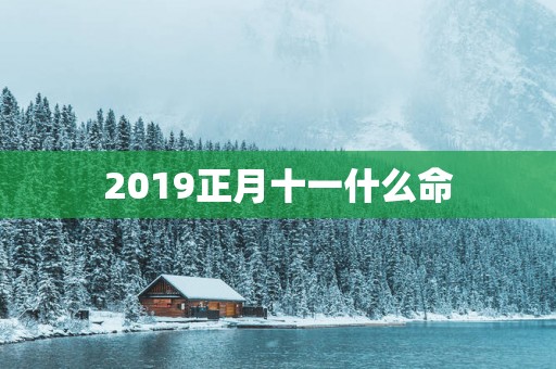 2019正月十一什么命