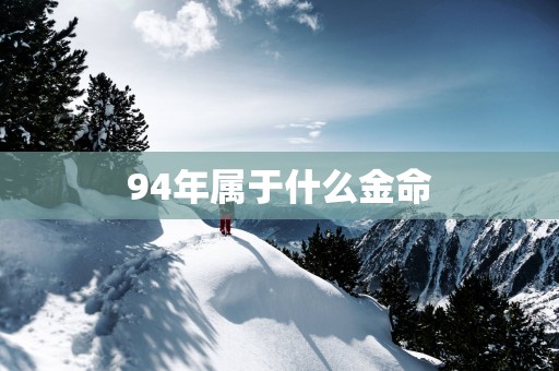 94年属于什么金命