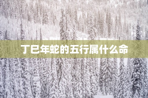丁巳年蛇的五行属什么命