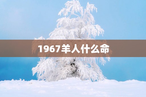 1967羊人什么命