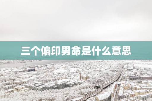 三个偏印男命是什么意思