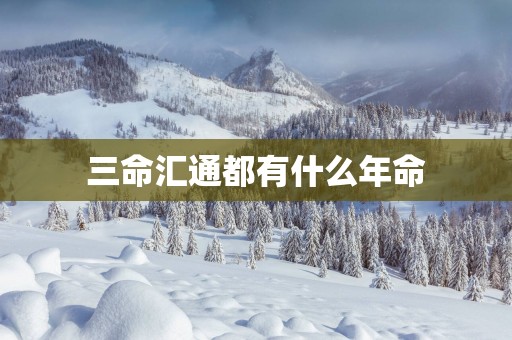 三命汇通都有什么年命
