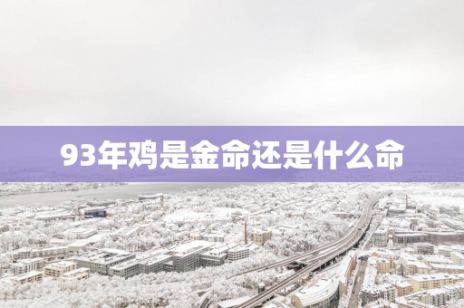 93年鸡是金命还是什么命