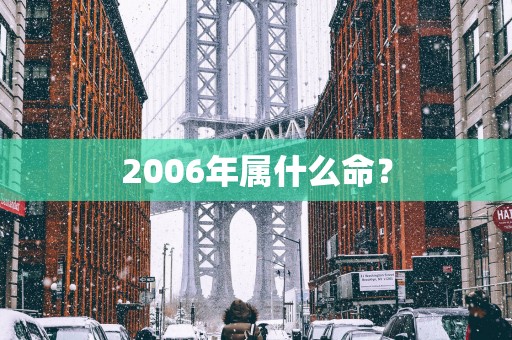 2006年属什么命？