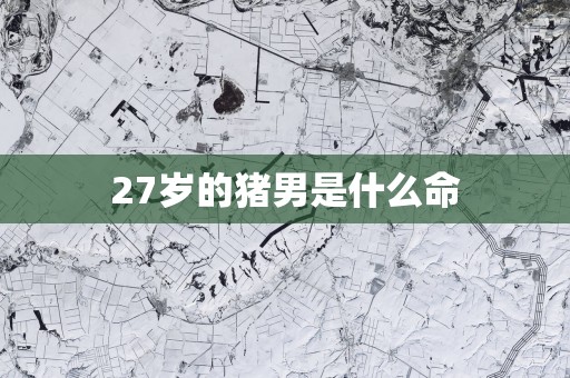 27岁的猪男是什么命