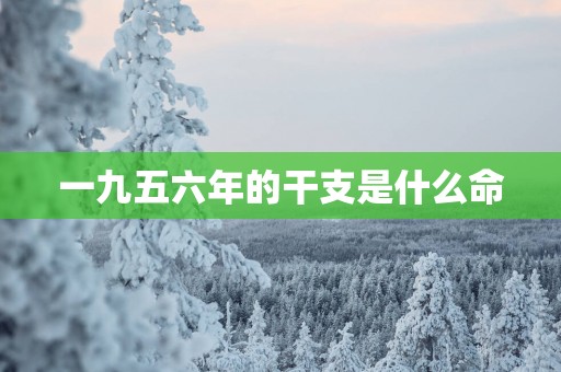 一九五六年的干支是什么命
