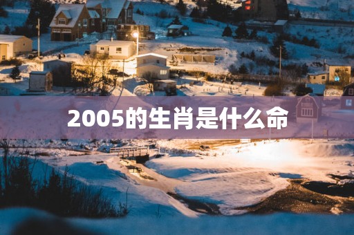 2005的生肖是什么命