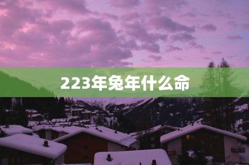 223年兔年什么命