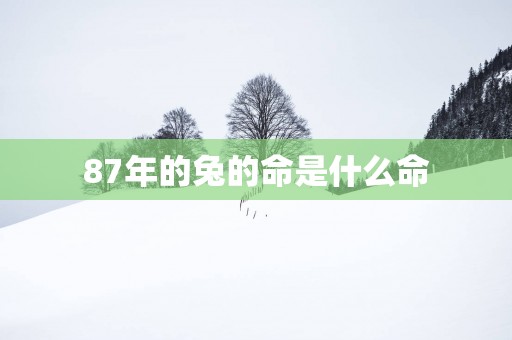 87年的兔的命是什么命