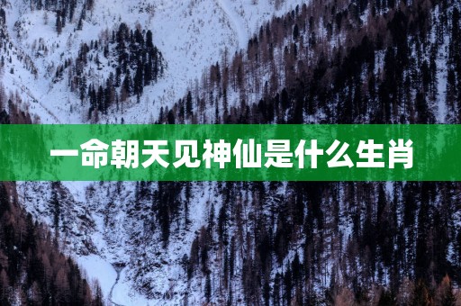 一命朝天见神仙是什么生肖