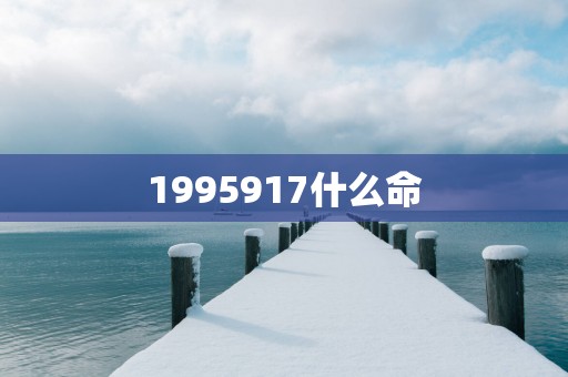 1995917什么命
