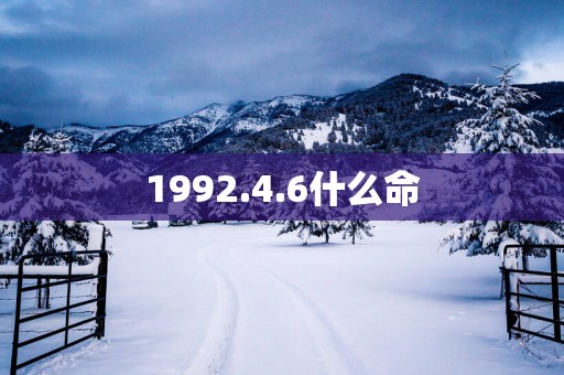1992.4.6什么命