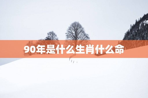 90年是什么生肖什么命