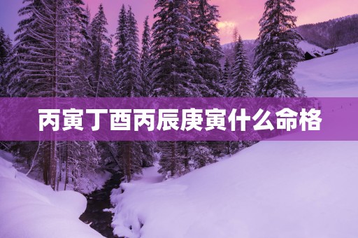 丙寅丁酉丙辰庚寅什么命格