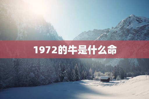 1972的牛是什么命