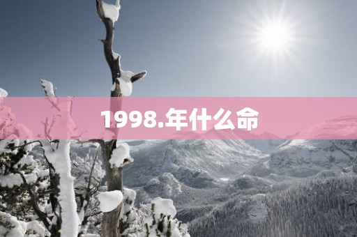 1998.年什么命 1998.年什么命