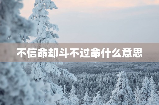不信命却斗不过命什么意思