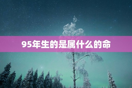 95年生的是属什么的命