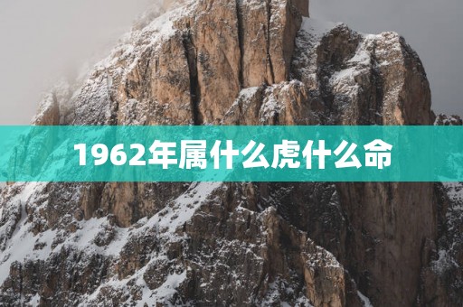 1962年属什么虎什么命