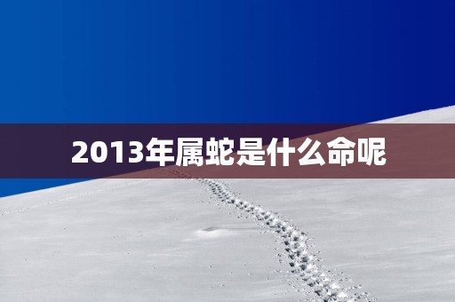 2013年属蛇是什么命呢