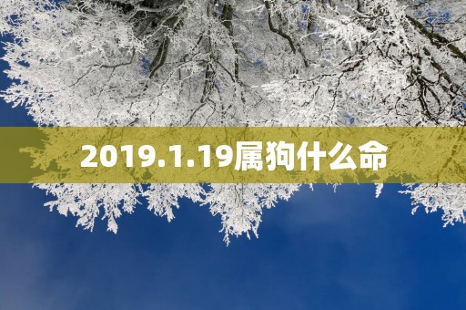 2019.1.19属狗什么命