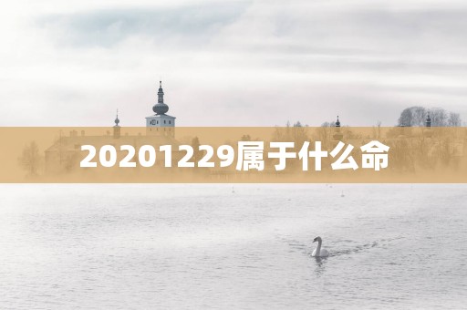 20251229属于什么命