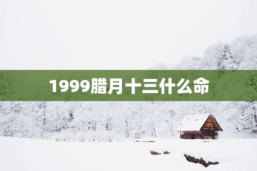 1999腊月十三什么命