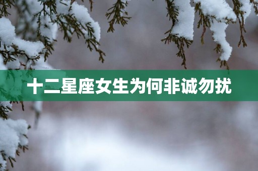 十二星座女生为何非诚勿扰