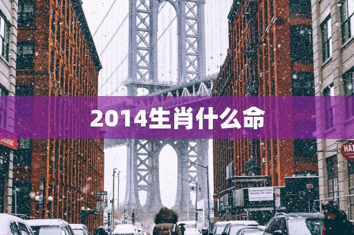 2014生肖什么命 2014生肖什么命