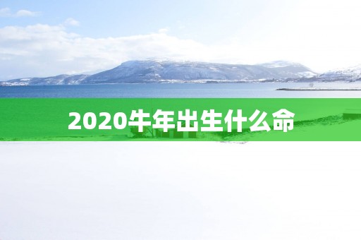 2025蛇年出生什么命