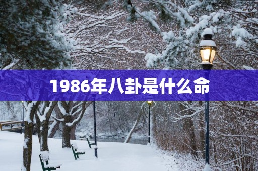 1986年八卦是什么命