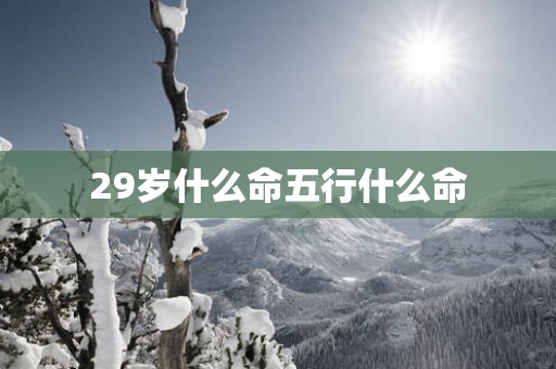 29岁什么命五行什么命
