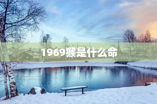1969猴是什么命