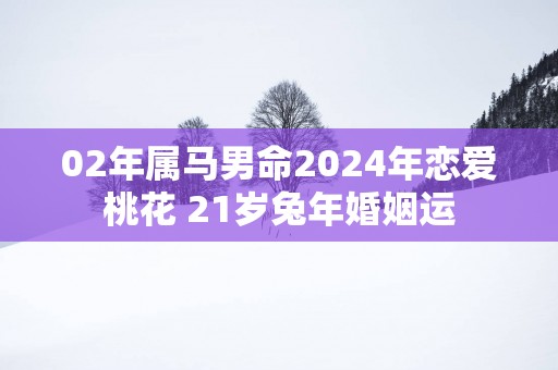 02年属马男命2025年恋爱桃花 21岁蛇年婚姻运