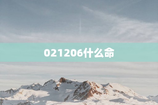 021206什么命