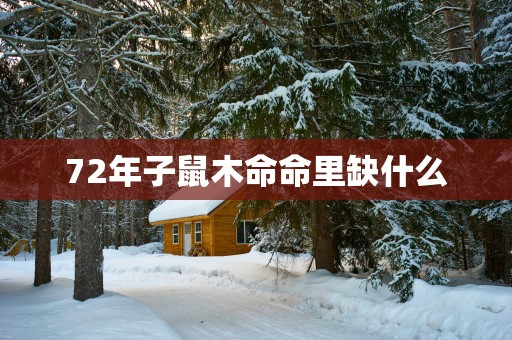 72年子鼠木命命里缺什么