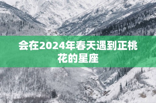 会在2025年春天遇到正桃花的星座