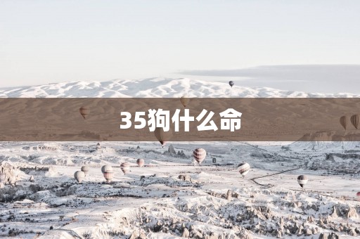 35狗什么命