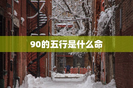 90的五行是什么命