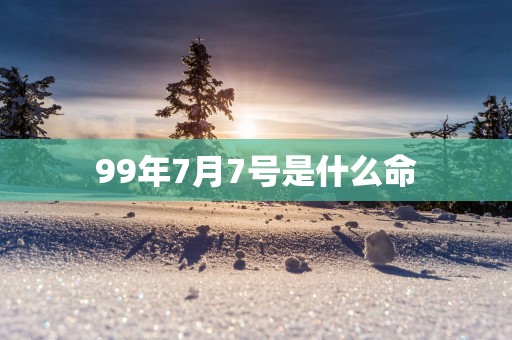 99年7月7号是什么命
