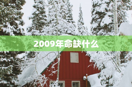 2009年命缺什么
