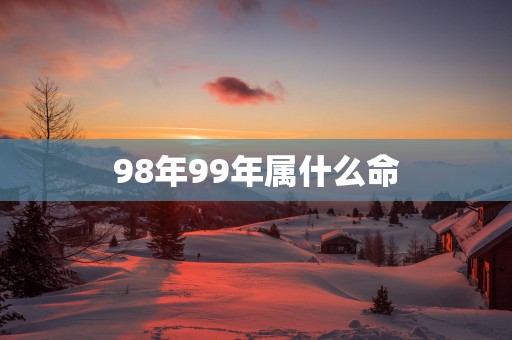 98年99年属什么命